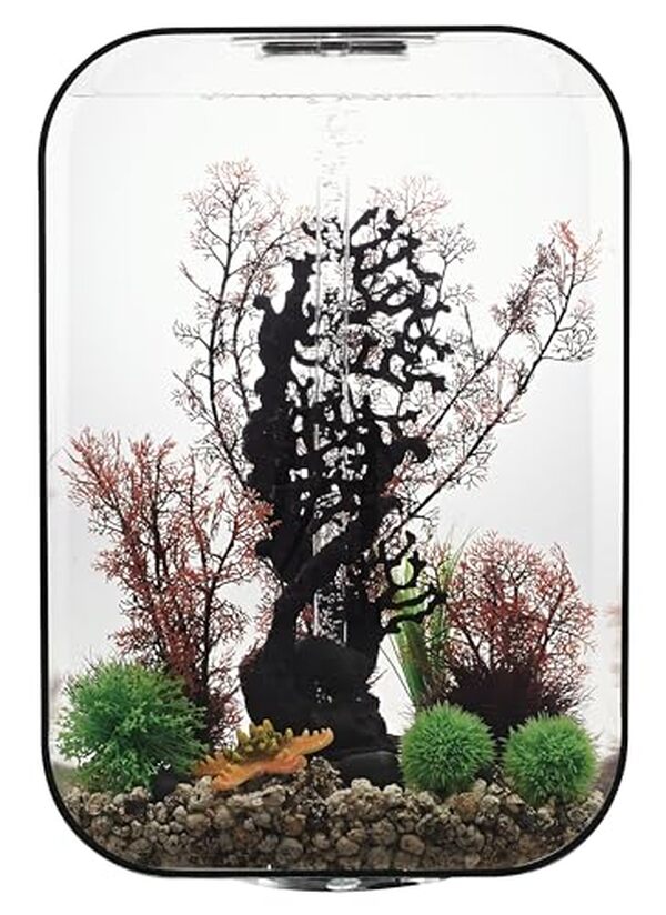 Découvrez notre test complet de l'aquarium biOrb Life 60 MCR noir : un modèle alliant design moderne et technologie innovante pour une décoration intérieure exceptionnelle.