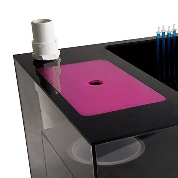 Découvrez notre analyse du système de filtration Dupla Marin Ocean Sump 200, un choix intelligent pour améliorer la qualité de votre aquarium grâce à ses 5 chambres de filtration avancées.