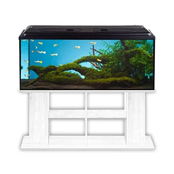 Découvrez notre test du meuble bas ZooPaul Budget pour aquarium blanc 120x40x60 cm : qualité, design et rapport qualité-prix analysés pour un choix éclairé