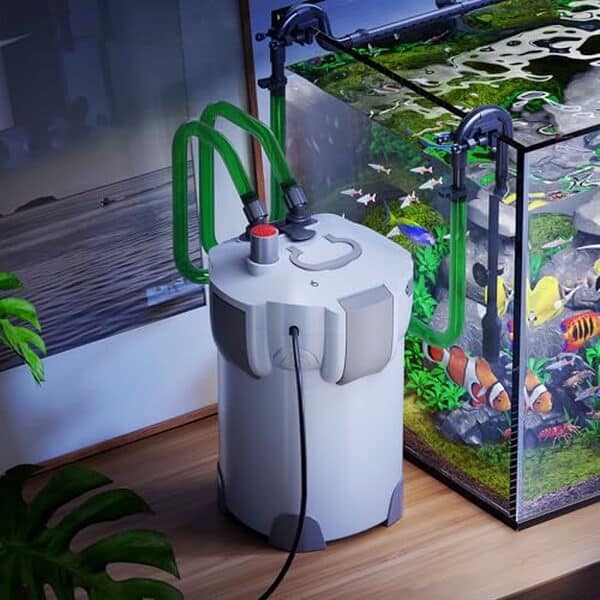 Découvrez le test du filtre extérieur SunSun HW-403B : une puissance de 1400 l/h couplée à un système UV innovant pour un aquarium propre et sain.