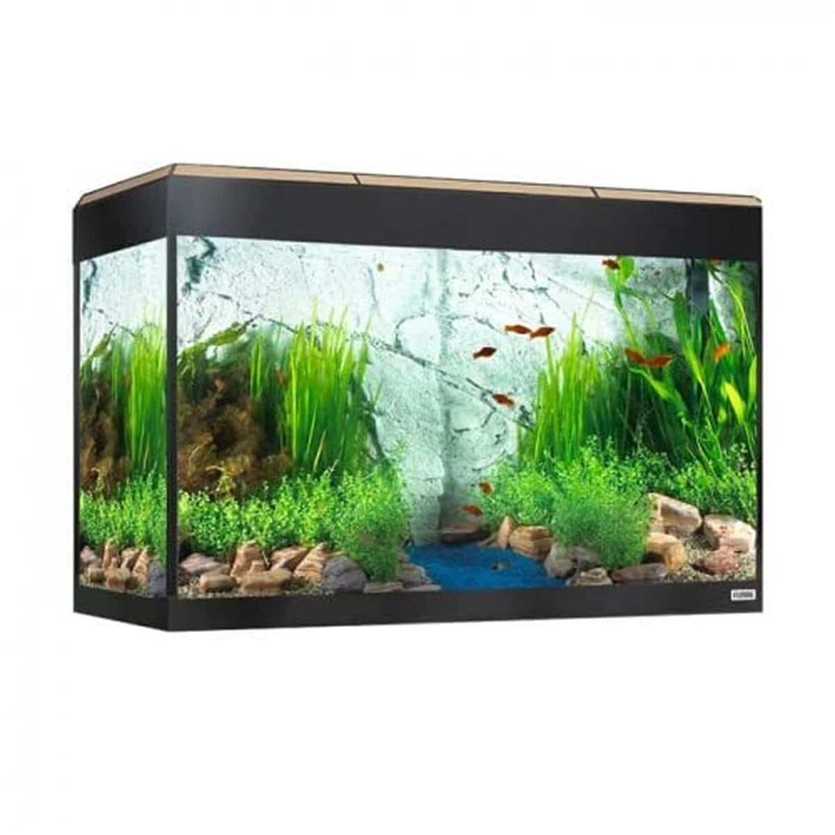Test de l'aquarium Fluval Roma LED Bluetooth, 125 l chêne