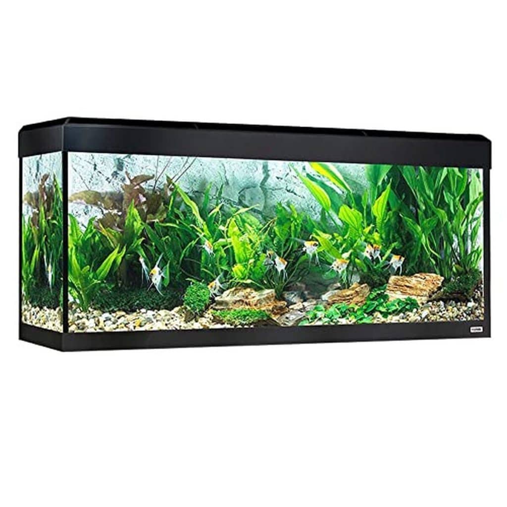 Test de l'aquarium Roma 240 l de Fluval : éclairage LED Bluetooth