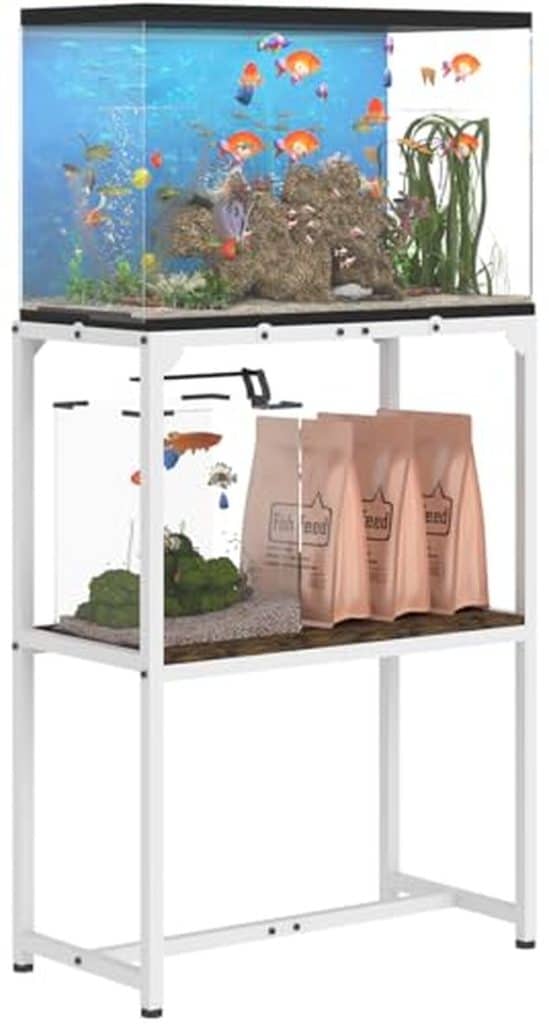 Test du support Mondazie pratique et esthétique pour aquarium et terrarium