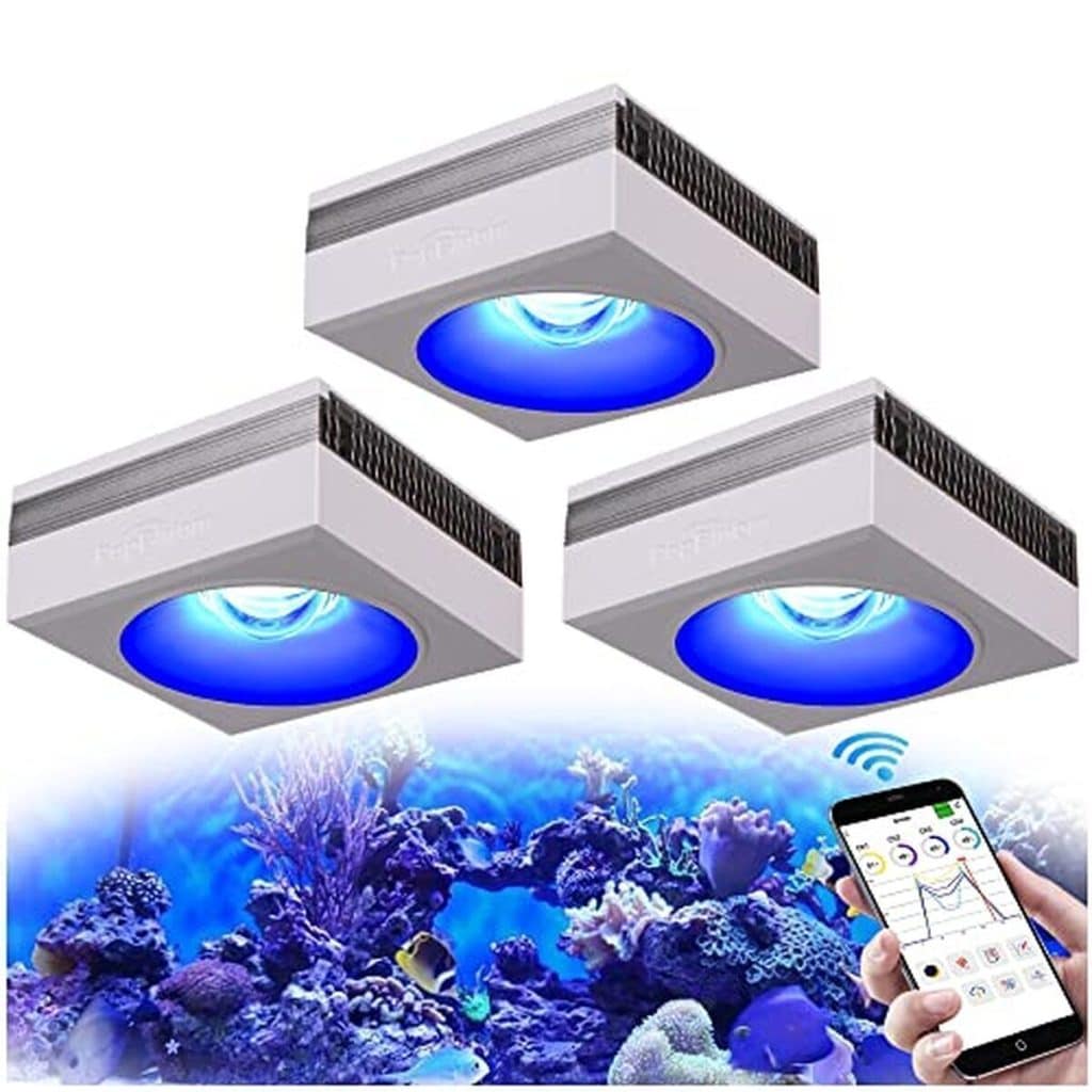 Test : popBloom WiFi rampe LED pour aquarium de corail