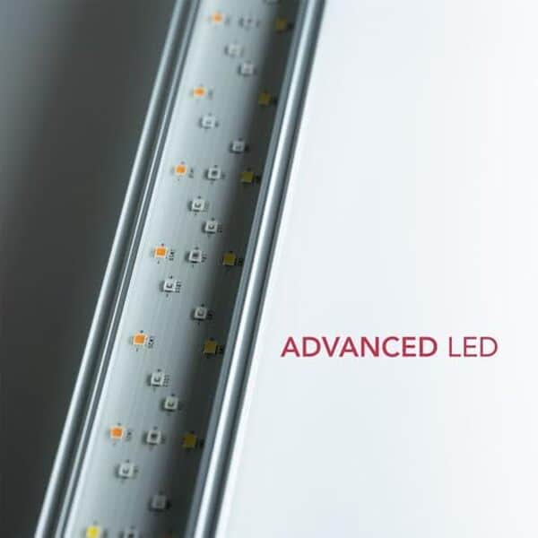 Découvrez notre test complet du twinstar light 120G : un éclairage LED RGBW étanche révolutionnaire pour aquarium. Améliorez l'éclat et la santé de vos plantes aquatiques aujourd'hui.