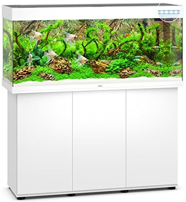 Découvrez notre avis détaillé sur le meuble aquarium Juwel Rio 240 avec lampe LED : design, fonctionnalités et performances en lumière.