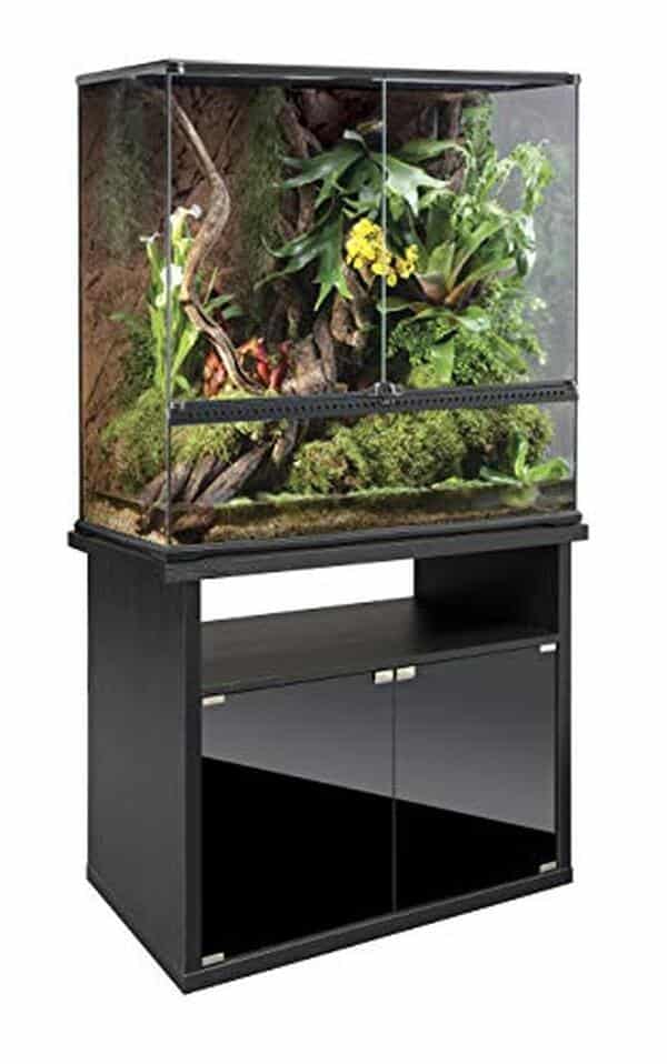 Découvrez notre test détaillé du meuble terrarium Exoterra : solution élégante et fonctionnelle pour accueillir vos reptiles dans les meilleures conditions.