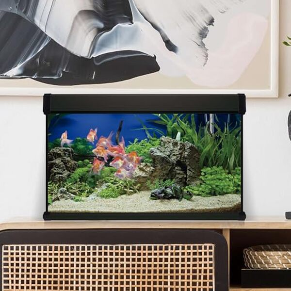 Découvrez le test complet du filtre intérieur noir ICA KXP100N pour un aquarium impeccable. Performances, design et efficacité au rendez-vous pour un entretien optimal.