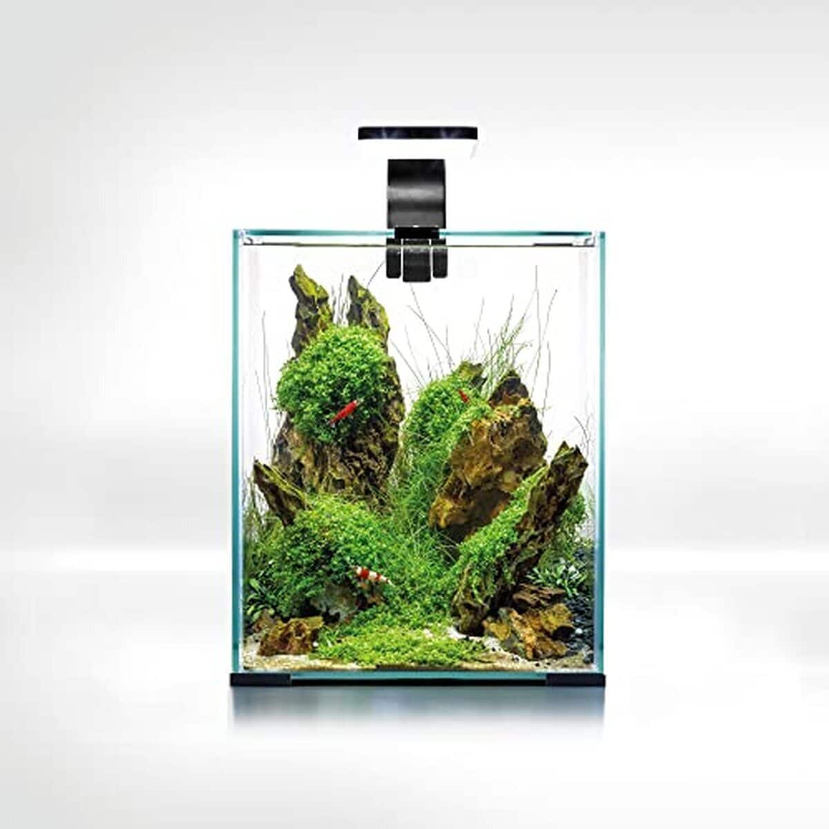 Test : aquarium Aquael Smart D&N 20 ECOM noir